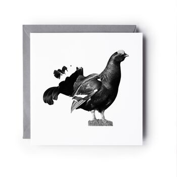 Black Grouse Wildlife Greeting Card, 2 of 7