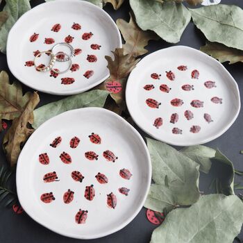 Handmade Ceramic Red Ladybird Beetle Ring Dish, 4 of 7