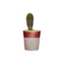 Concrete Pot Small With Cactus/ Succulent In Copper, thumbnail 3 of 5