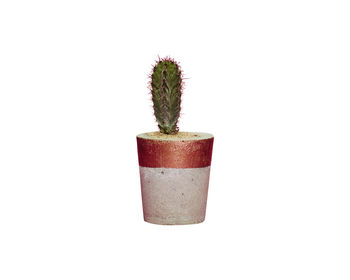 Concrete Pot Small With Cactus/ Succulent In Copper, 3 of 5