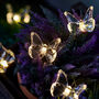 Garden Butterfly Fairy Lights, thumbnail 1 of 2