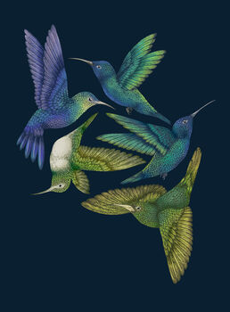 'Antique Hummingbirds I Indigo' Fine Art Print, 3 of 4