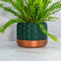 Forest Hexa Planter, thumbnail 4 of 4