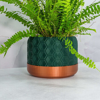 Forest Hexa Planter, 4 of 4