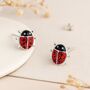 Girls Sterling Silver Ladybird Stud Earrings, thumbnail 1 of 4