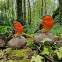 Set Of Two Little Robin Garden Ornaments, thumbnail 5 of 8