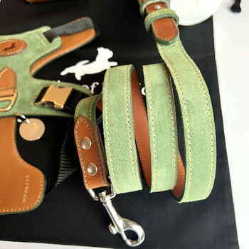 Green Pooch Pack Harness, 5 of 6
