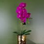 Pink Artificial Orchid Plant Gold Pot 54cm Real Touch, thumbnail 1 of 3
