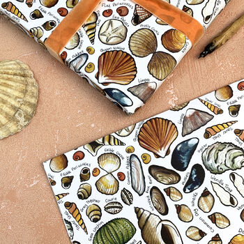 Seashells Of Britain Wrapping Paper Set, 3 of 7