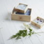 Organic Cotton Bloomers In A Box, thumbnail 6 of 6