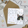 Crazy Cat Lady Card, Multiple Cat Designs, thumbnail 2 of 9