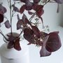 Three Faux Burgundy Eucalyptus Spray With Seeds, thumbnail 2 of 3