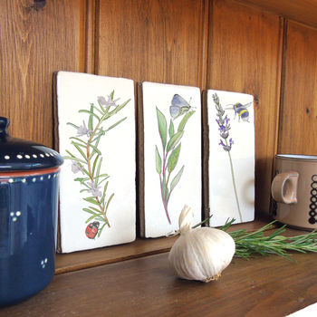 Kitchen Garden Herbs Ceramic Tile Wall Art, 2 of 8