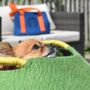 Pet Basket For Dogs And Cats, thumbnail 3 of 3