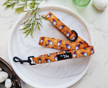 Trick Or Treat Harry Halloween Dog Collar, 4 of 6