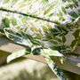 Set Of Two Meadowbrook Seat Cushions With Ties, thumbnail 5 of 5