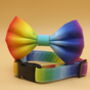 Rainbow Ombre Dog Bow Tie, thumbnail 3 of 10