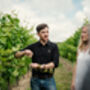 Tour, Tasting And Lunch Experience At A Kent Vineyard For Two, thumbnail 4 of 12