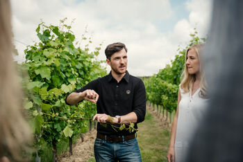 Tour, Tasting And Lunch Experience At A Kent Vineyard For Two, 4 of 12