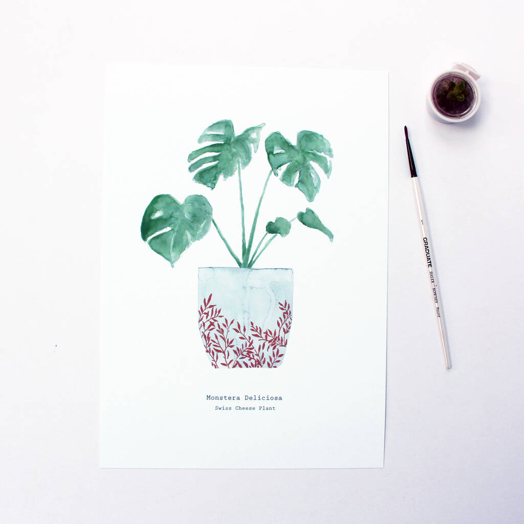 Swiss Cheese Watercolour Plant Print, 1 of 3