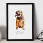 Custom Pet Portrait, Personalised Dog Illustration, thumbnail 2 of 8