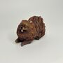 Solid Chocolate Pomeranian, thumbnail 4 of 4