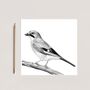 Jay Bird – Hand Drawn Woodland Greeting Card Illustration, thumbnail 2 of 6