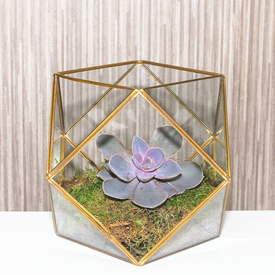 large copper geometric terrarium vase by dingading terrariums