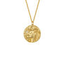 Zodiac Double Sided Gold Plated Crystal Necklace, thumbnail 8 of 12