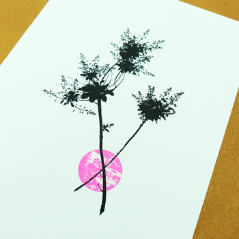 Smoketree Flower Pink Screen Print, 4 of 4