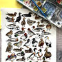 Ducks Of Britain Watercolour Postcard, thumbnail 9 of 12