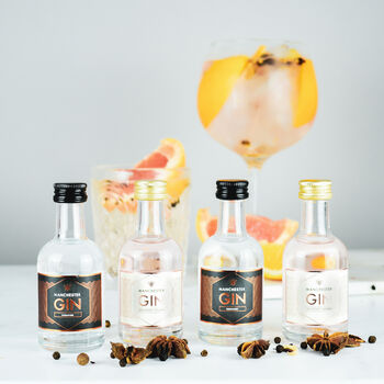 Make Your Own Gin And Tonic Set With Manchester Gin, 2 of 5