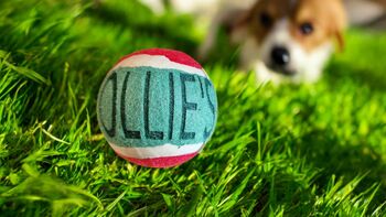 Personalised Dog Gifts Tennis Ball, 2 of 12