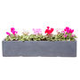 Large Window Box Planter In Hampstead Lead, thumbnail 3 of 4