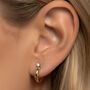 Gold Or Silver Huggie Hoop Stud Earrings With Stone, thumbnail 3 of 4