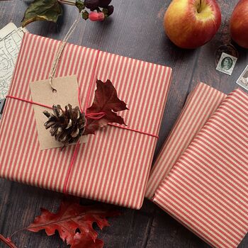 Star Paper Fibre Wrapping Paper Set, 8 of 12