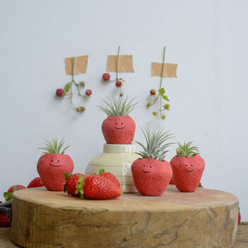 Strawberry Air Plant Holder Pot, 3 of 8