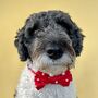 Red And White Star Dog Bow Tie, thumbnail 3 of 4