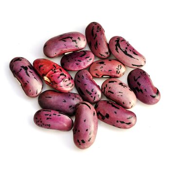 Runner Beans 'Firestorm' 16 X Plant Pack, 3 of 6