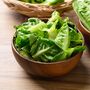 Salad Plants Lettuce 'Cos' 12 X Full Plant Pack, thumbnail 2 of 5