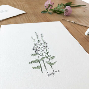 ‘Foxglove’ Flower Hand Illustrated Giclée Print, 2 of 2