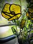 California Poppy Stained Glass Golden Yellow, thumbnail 1 of 5