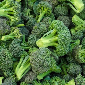 Broccoli 'Green Magic' 12 X Full Plant Pack, 4 of 5