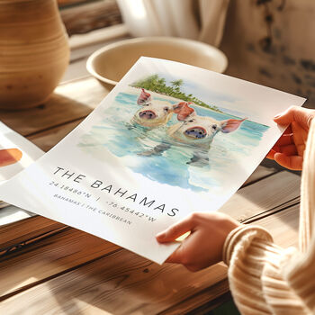 Destination Travel Landmark Cards For Pig Island Bahamas, 4 of 7