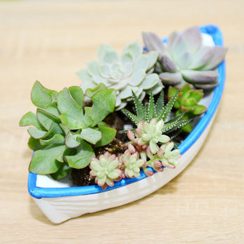 Concrete Boat Shaped Planter, 2 of 5