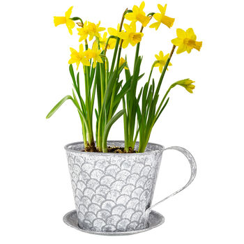 Personalised Tea Cup Easter Plant Pot, 2 of 4