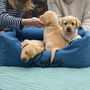 Personalised Dog Bed, thumbnail 2 of 2