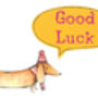 Good Luck Sausage Dog Greeting Card, thumbnail 2 of 2