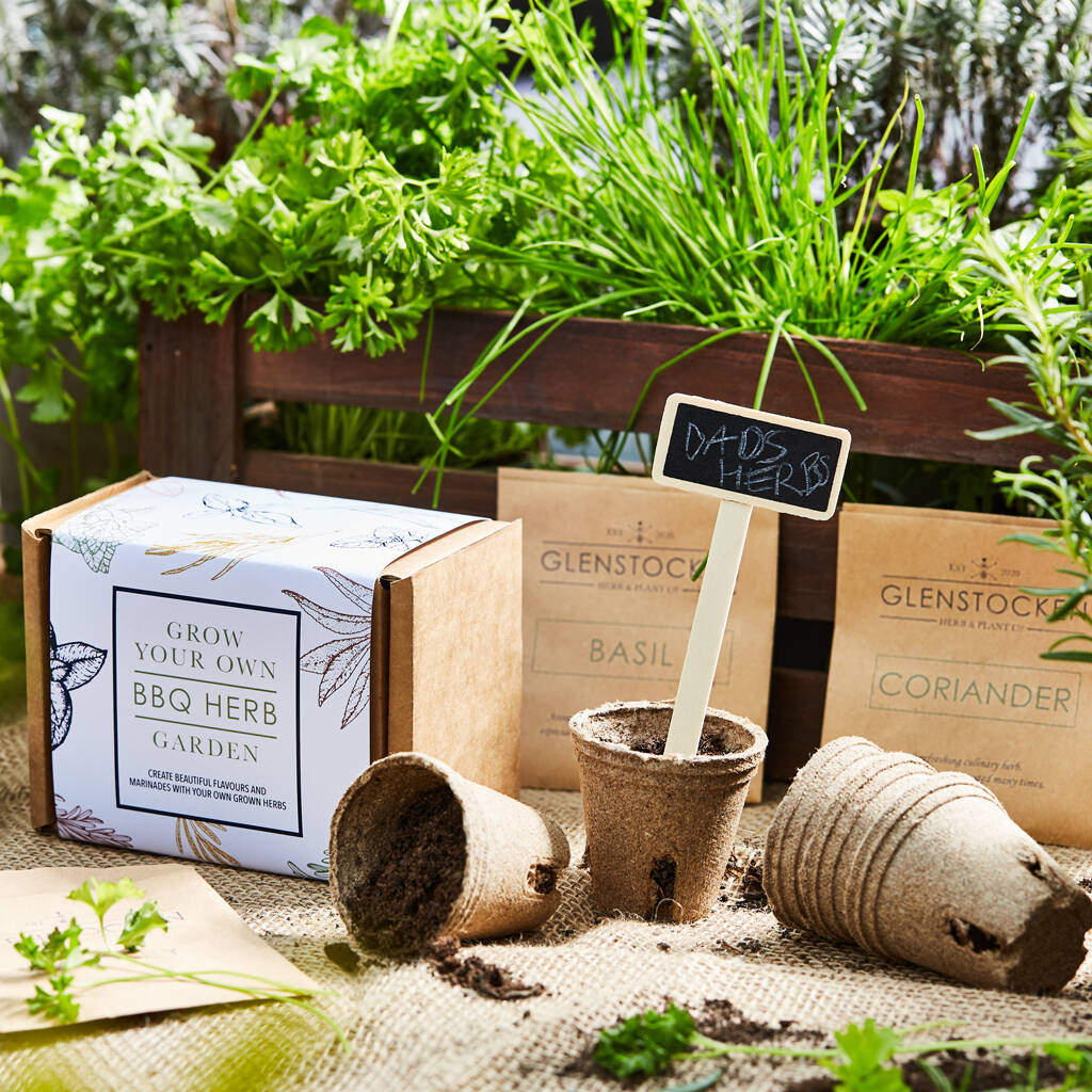 Grow Your Own BBQ Herbs Seed Kit