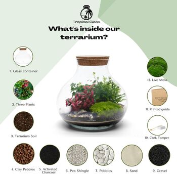 Complete Diy Terrarium Kit | 'Calgary', 9 of 11